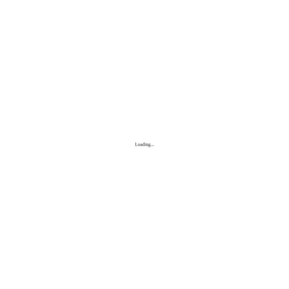 vitalywork1.prompt.security