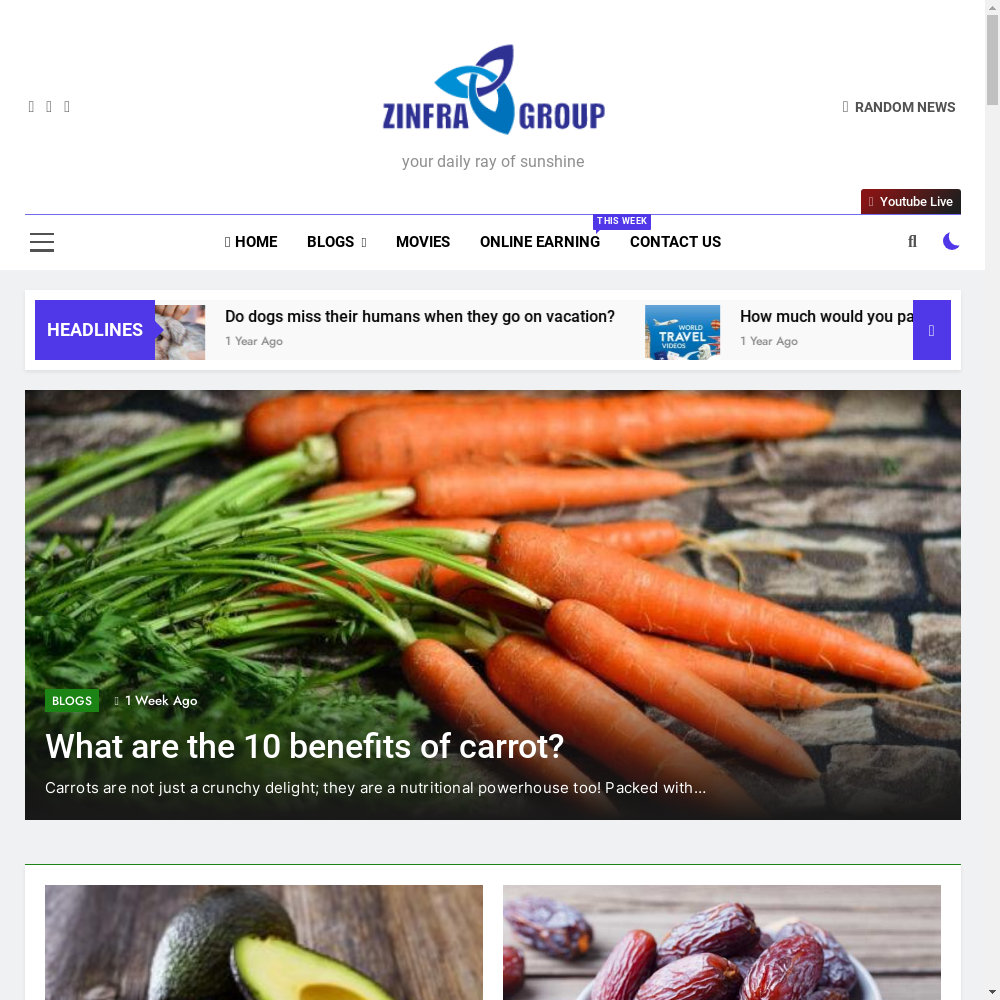 www.zinfragroup.blog